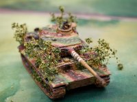 fow germans  (15 of 15)